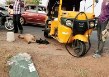 Wa: Suspected goat thieves involve in accident