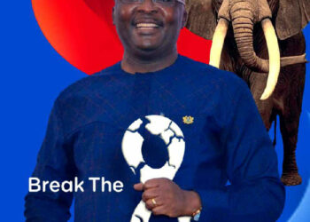 Be bold and stop Bawumia’s camp from campaigning – NPP Activist to Party Leadership