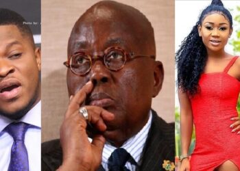 I pray Akufo-Addo remits Akuapem Poloo’s sentence – Sammy Gyamfi