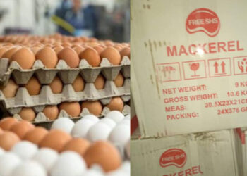 Govt replacing eggs with Chinese mackerel for SHS students will cripple our businesses – Poultry farmers