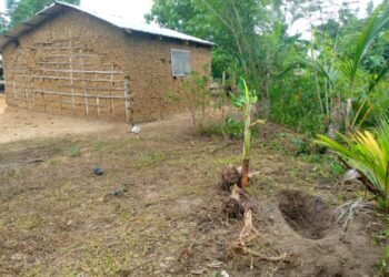 Couple arrested for burying sickle cell child alive