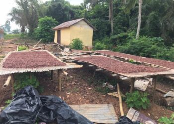 Amansie West District: Poor road network, a threat to success of Planting for Food and Job – Farmers