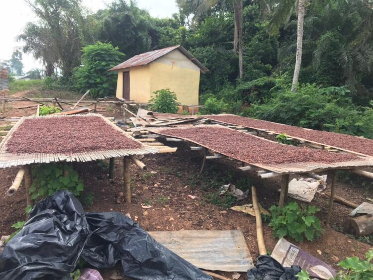 Amansie West District: Poor road network, a threat to success of Planting for Food and Job – Farmers