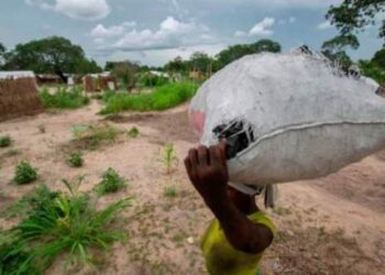 White people and dogs ‘rescued first’ in Mozambique