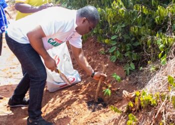 Pentecost Church to Plant 1 million trees Nationwide
