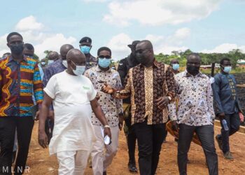 Gov’t not against small scale mining but… – Lands and Natural Resources Minister