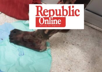 Korle-Bu admits 40 Okada emergencies daily