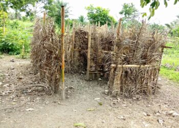 Teachers, Pupils of Twifo Kotokye D/A bemoan state of school toilet facility