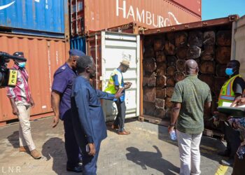 13 containers of Rosewood impounded at Tema Port