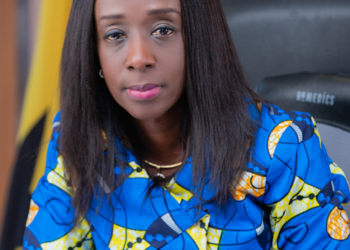 Stop using fake Sudan IV Dye for Palm Oil Production- FDA boss warns