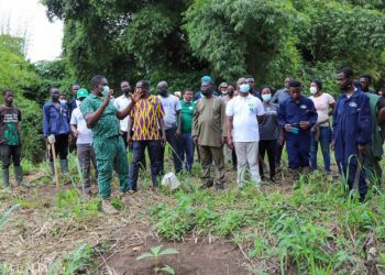 Deputy Lands Minister commends Hohoe traditional rulers for supporting Green Ghana Project