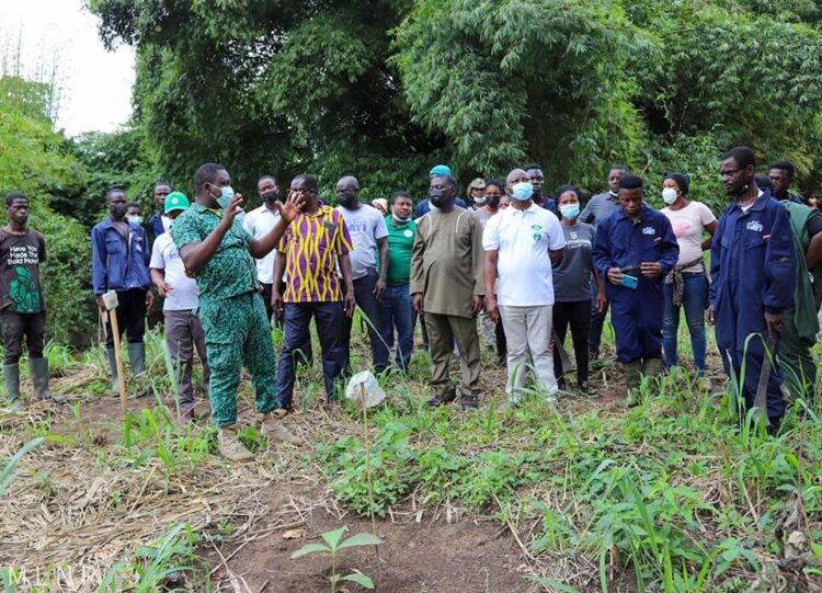 Deputy Lands Minister commends Hohoe traditional rulers for supporting Green Ghana Project