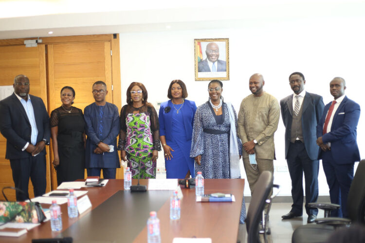 Implement Digital Inclusion Policies – Ursula Owusu-Ekuful