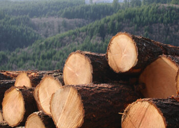 Work to revamp the timber industry- Deputy Lands Minister to industry players.