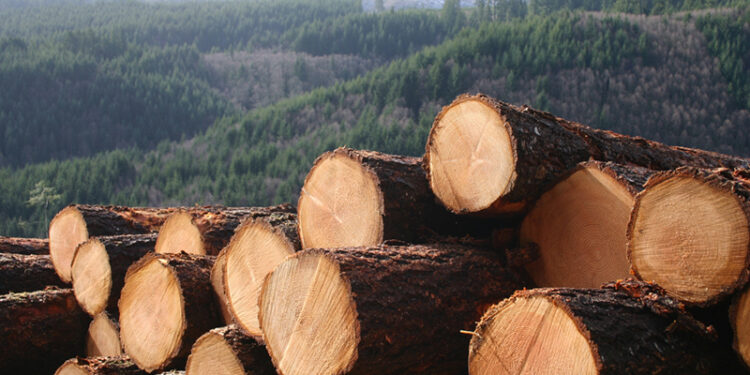 Work to revamp the timber industry- Deputy Lands Minister to industry players.