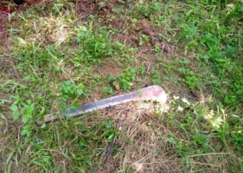 E/R: Wife beheads husband at Akyem Bosuso