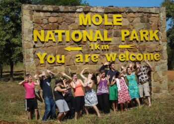 Mole National Park to be upgraded – Lands Minister