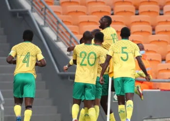 South Africa regain Group G lead, Algeria goes level with Burkina Faso