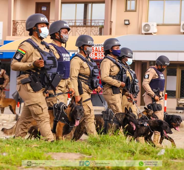 Police to fight crime with dogs