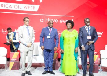 African Oil Personalities confer with UAE Energy Minister