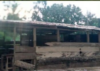 Pupils of Nkawkaw Asuboni-Rails Basic school study in ‘hen coop’ structure