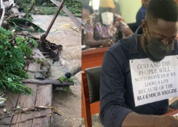 They won’t forgive us if someone dies because of collapsing Bluemich bridge – Assemblyman 