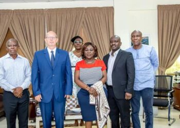 Process of treating polluted water in Hungary should be replicated in Ghana –  Cecilia Dapaah