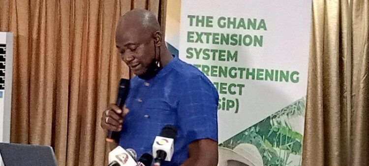 Gov’t to expand Planting for Food and Jobs for export – Deputy Minister