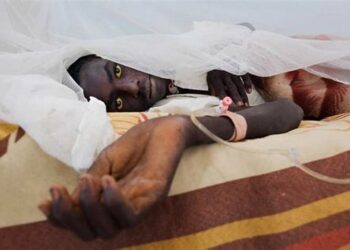 22 die from Yellow Fever