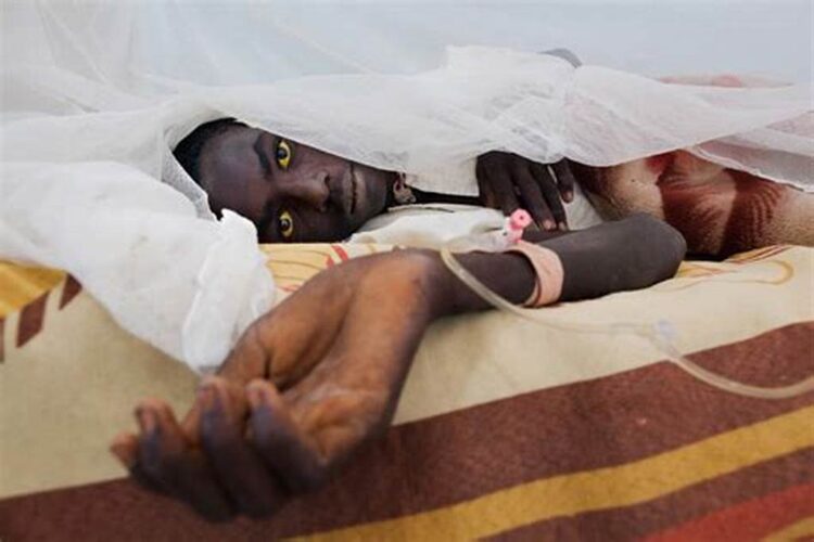 22 die from Yellow Fever