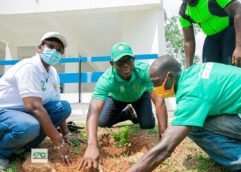 Forestry Commission, German Embassy, other partners plant 700 trees at GIMPA