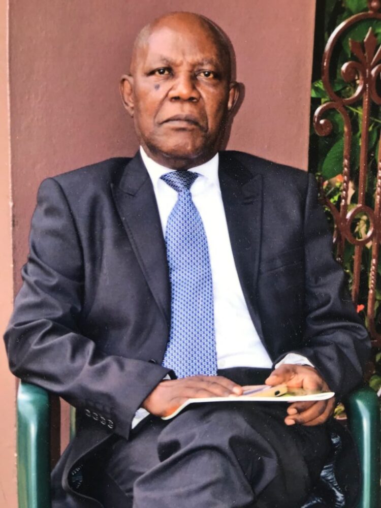 Greater Accra Regional Minister doing well but… – Former Ga West MCE