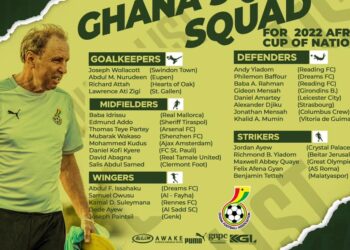 AFCON 2021: Coach Milovan Rajevac names 30-man provisional squad