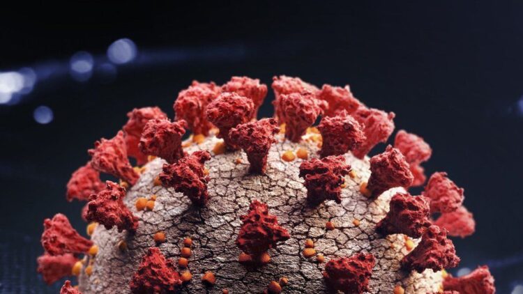 Omicron: South African scientists probe link between variants and untreated HIV