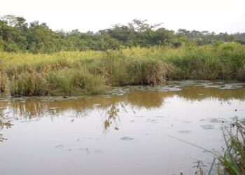 Boy drowns in abandoned galamsey pit near Konongo
