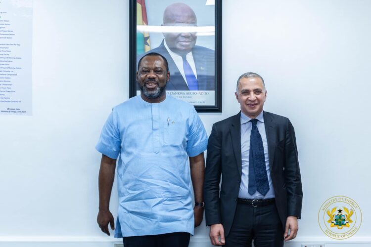 Ghana is Open for Strategic Investor Partners – Energy Minister tells Elsewedy Electric