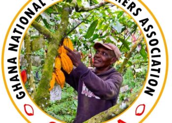 Cocoa Carriers Association Brouhaha: Cocobod Must Show Commitment – National Cocoa Farmers Association President