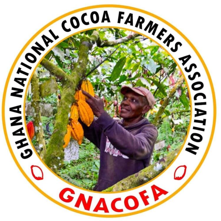 Cocoa Carriers Association Brouhaha: Cocobod Must Show Commitment – National Cocoa Farmers Association President