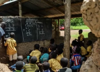 Snakebites exterminate two teachers in Afram Plains