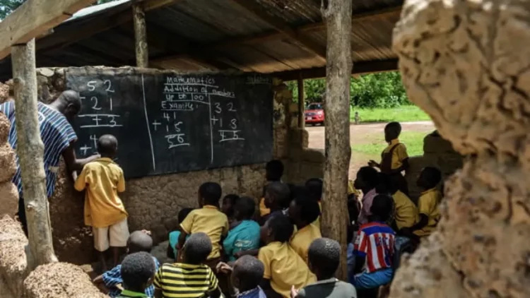 Snakebites exterminate two teachers in Afram Plains