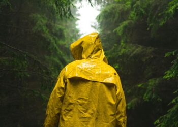 Malawi MPs criticised for demanding raincoats