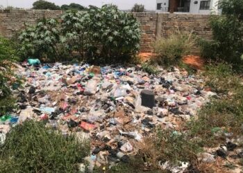 Residents cry out over heaps of refuse at Ayi Mensah Park