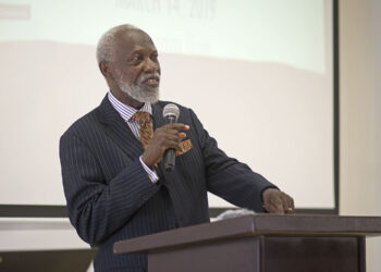 Don’t expect Akufo-Addo’s appointees’ pay cut to solve economic crisis – Prof. Adei