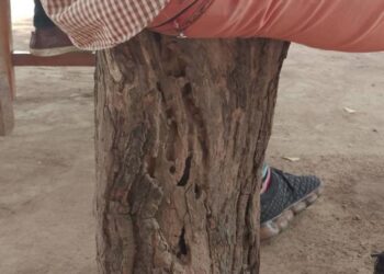 B/R: Lack of furniture forces Akore JHS pupils to sit on logs