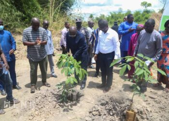 C/R: Bawumia cuts sod for €1.8 million Rubber Plantation project
