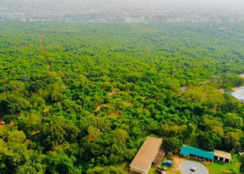 Mensah Thompson writes: Govt’s explanation on Achimota Forest untenable