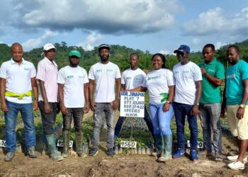 Green Ghana Day seedlings ready for distribution – NAELP Coordinator