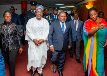 We’ll like to benefit from Ghana’s experience in managing its resources – Mozambican President