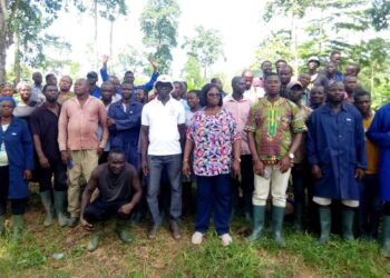 COCOBOD to distribute 140 million Hybrid Cocoa seedlings to Farmers