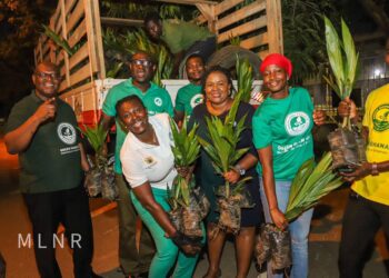 Green Ghana Project: Lands Ministry distributes 500,000 Oil Palm seedlings